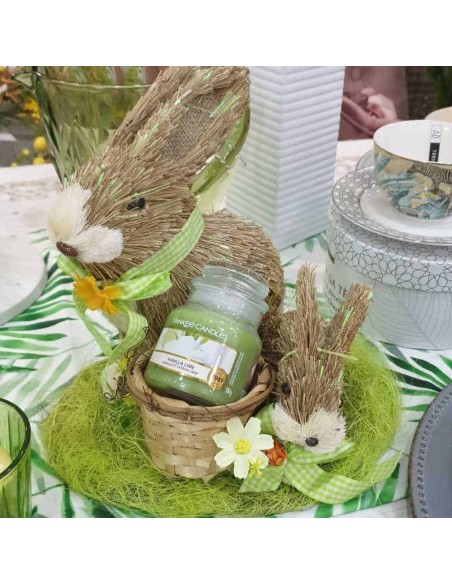 Porta giara con coniglio pasquale Pasqua con giara | Sindy Arredo