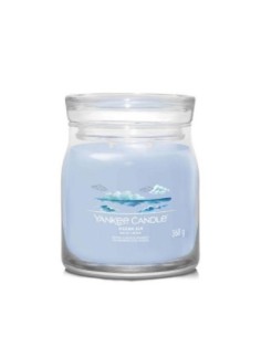 Yankee Candle Candele profumate signature giara media Ocean Air 1630018E