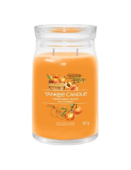 Candele profumate yankee candle Farm Fresh Peach