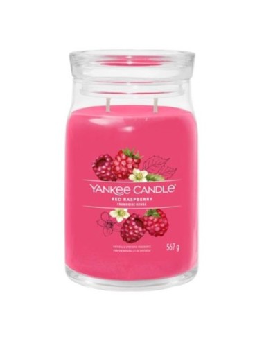 Yankee candle offerte candele in giara Red Raspberry 1701375E