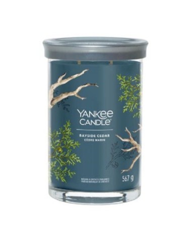 Candele Yankee Candle Bayside Cedar in giara grande 1630048E