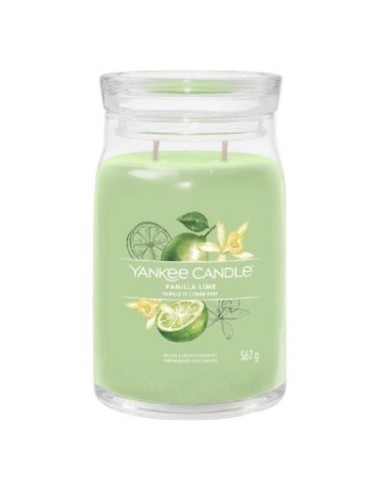 Yankee Candle Vanilla Lime candele giara in vetro 1630694E