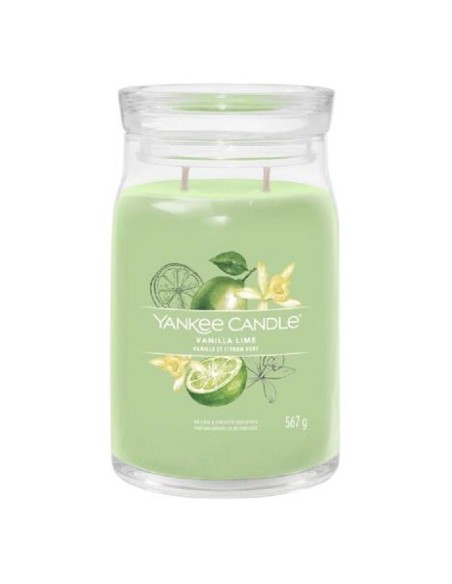 Yankee Candle Vanilla Lime candele giara in vetro 1630694E