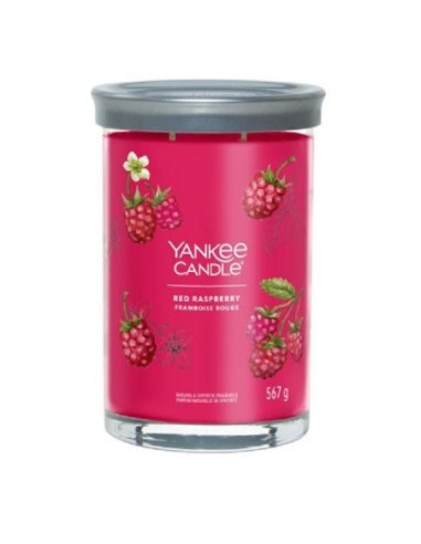 Yankee candle candele profumate Red Raspberry 1724404E