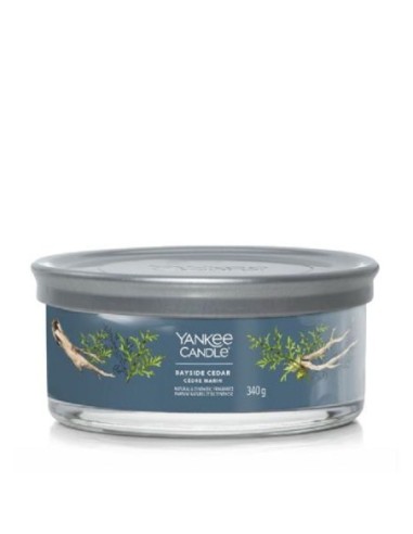 Candele Yankee Candle Bayside Cedar in giara 5 stoppini 1630082E