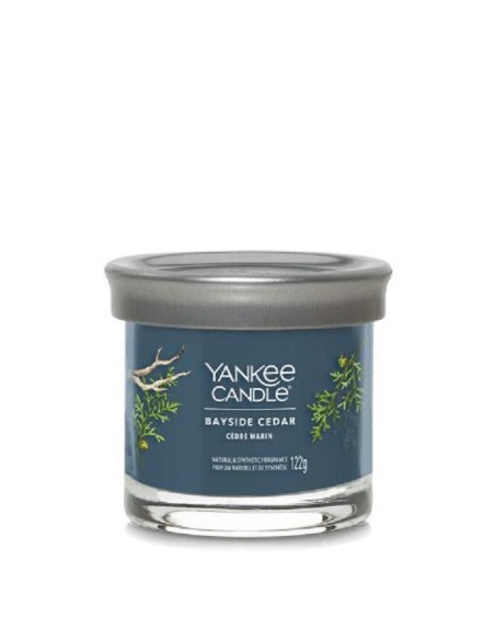 Candele Yankee Candle Bayside Cedar giara piccola 1744755E