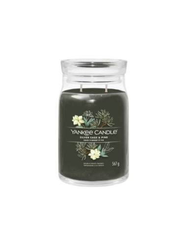 Yankee Candle Candele in giara Silver Sage & Pine 1629993E