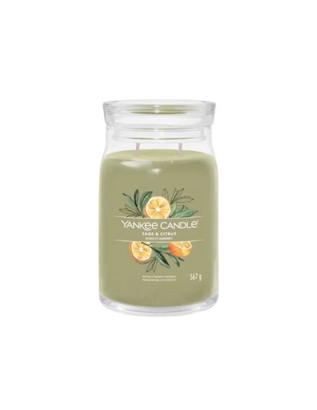 Yankee Candle Candele profumate Sage & Citrus 1629961E