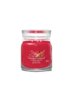 Yankee Candle Candele Profumate Signature Sparkling Cinnamon 1630009E