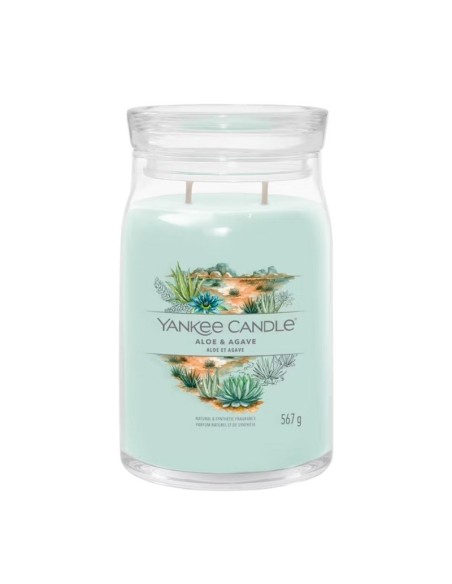 Candele profumate particolari Yankee Candle Aloe & Agave 1749343E