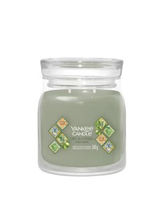 Candele profumate Signature Yankee Candle media Olive & Cypress 2642887E