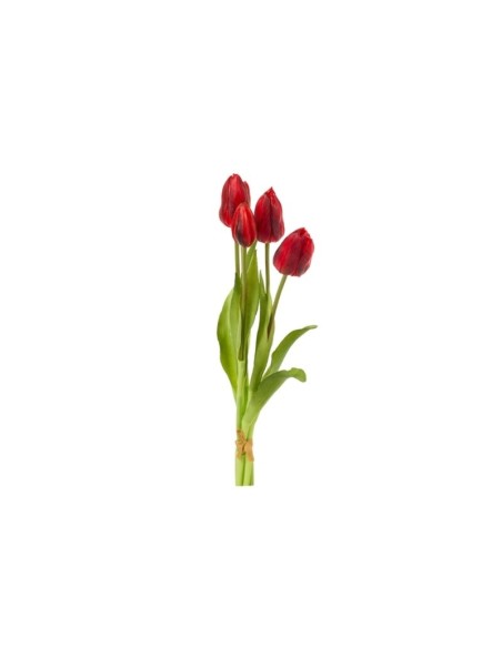 Nuvole di Stoffa Bouquet di fiori 5 tulipani rosso screziato ZFF251104