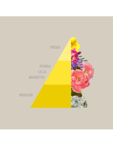 Horomia Rivenditori diffusore Rattan Vibes Blooming -Sindy arredo