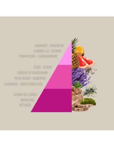 Horomia diffusore Rattan Vibes Aromatic Freshness 200ml -Sindy arredo