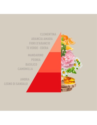 Diffusore Rattan Vibes Tangerine & Basil 200ml H-260-Sindy arredo