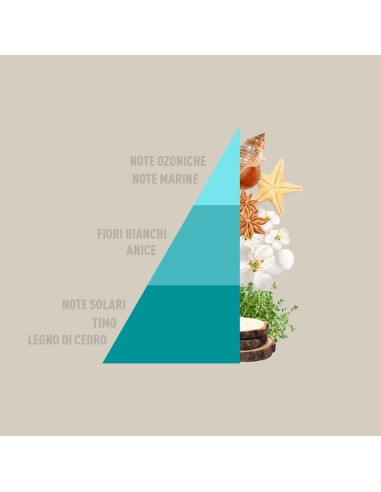 Horomia Diffusore Rattan Vibes Salty Breeze 200ml H-261 -Sindy arredo