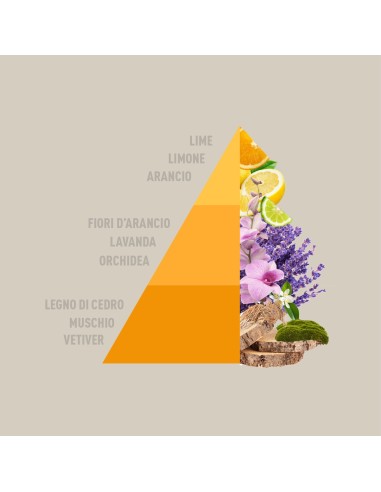 Horomia Diffusore Rattan Vibes Lime e Vetiver 200ml H-262-Sindy arredo