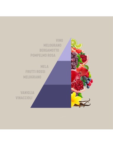 Diffusore Rattan Vibes Grape & Pomegranate 200ml H-263-Sindy arredo