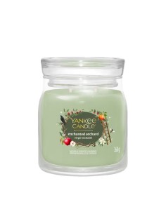 Yankee Candle offerte candela media Enchanted Orchard 2653151E