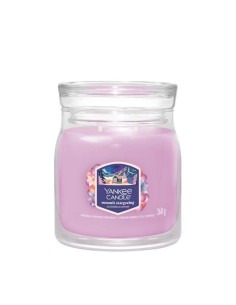 Yankee Candle Candela profumata media Summit Stargazing 2653146E
