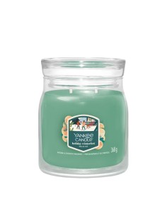 Candele profumate Yankee Candle giara media Holiday Winterfest 2653160E
