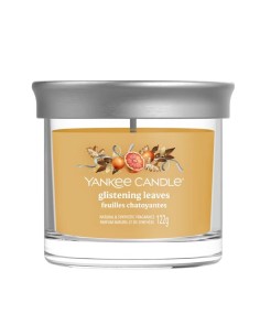 Candela Yankee Candle piccola Tumbler Glistening Leaves 2652633E