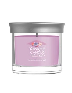 Candele profumate particolari Yankee Candle Summit Stargazing 2652759E
