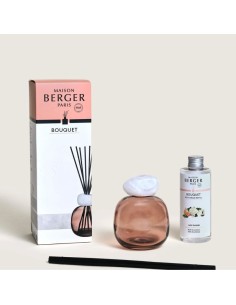 Maison Berger Profumatore ambiente Bouquet Mineral Prune 7844