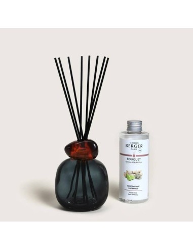 Maison Berger profumatori ambiente bastoncini Mineral Noir Wilderness