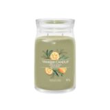 Yankee Candle Candele profumate Sage & Citrus 1629961E